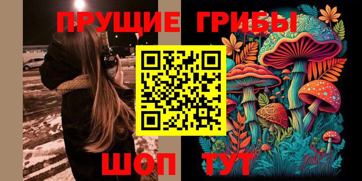 Новороссийск  Псилоцибиновые грибы мухоморы  Вход с VPN 